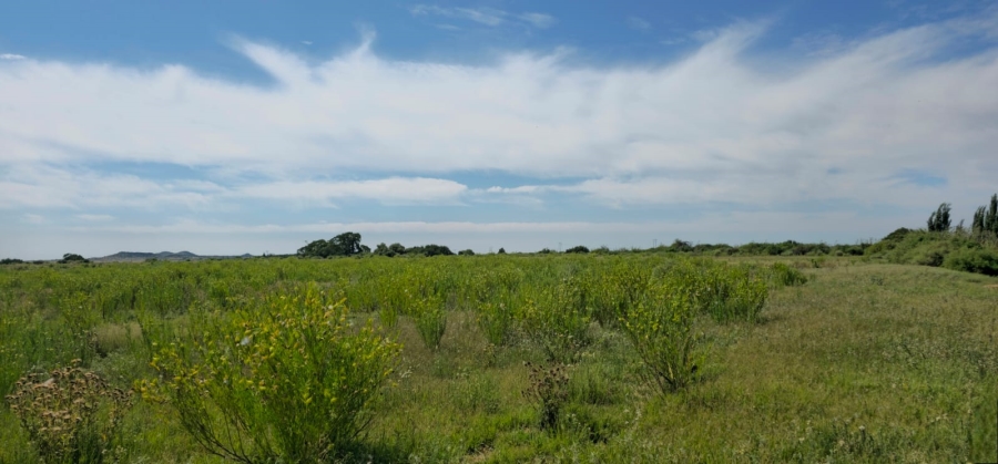 Commercial Property for Sale in Mangaung Free State